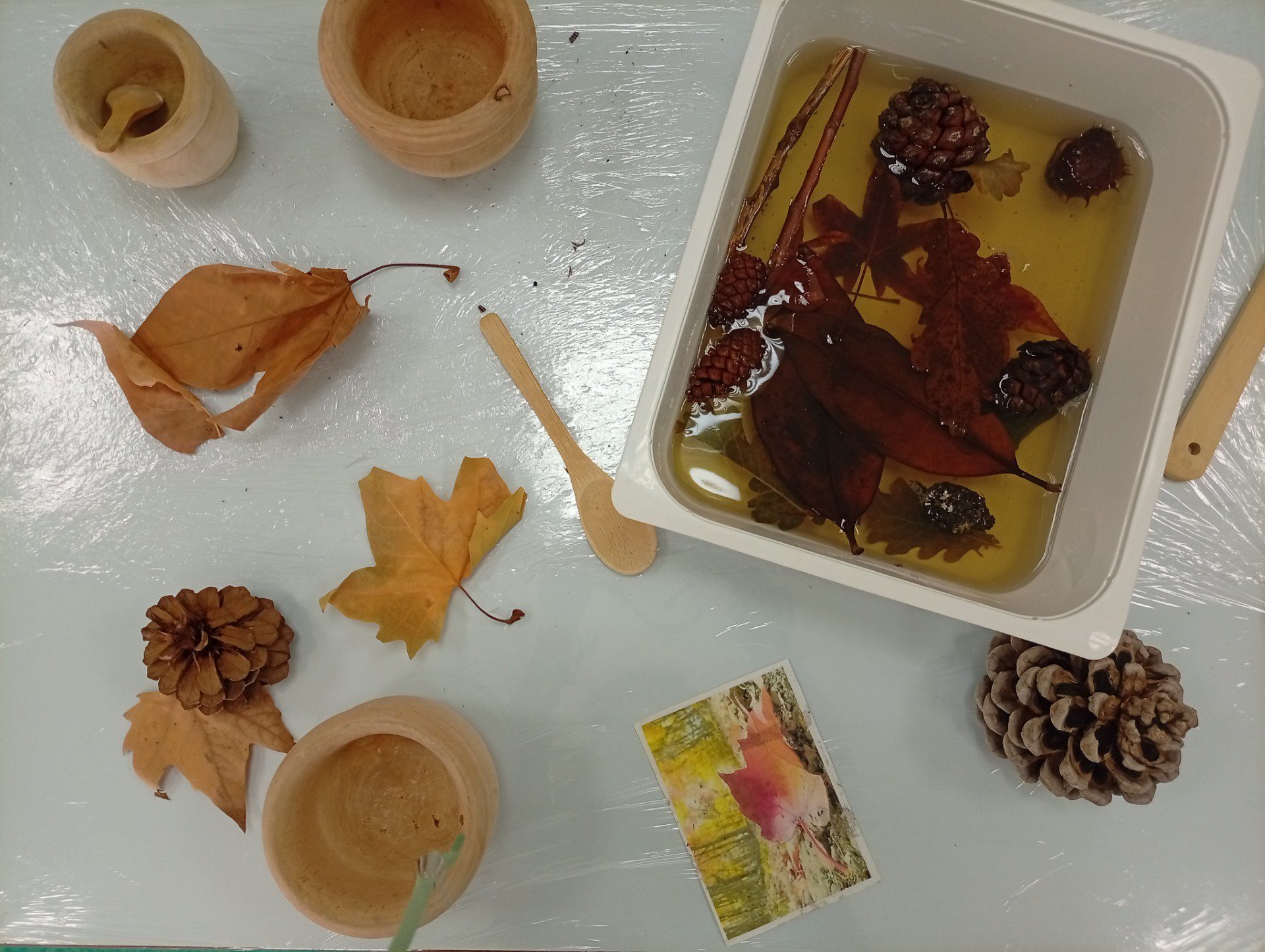 thumbnail_IMG_20251110_100830