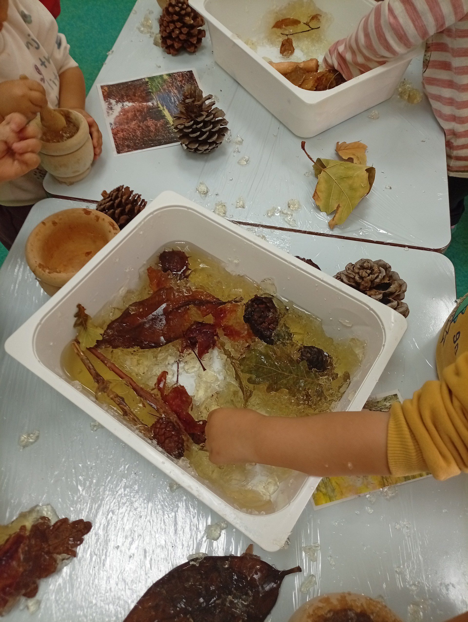 thumbnail_IMG_20251110_101753